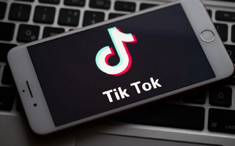 how to search on tiktok pc website
