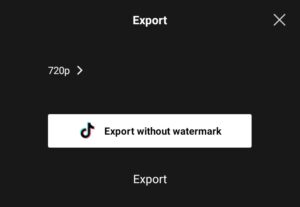 export video without watermark