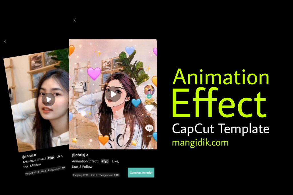 animation effect capcut template